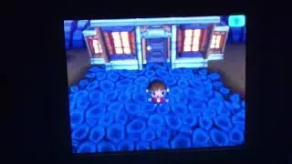 Miniature : Animal Crossing Wild World BestOf