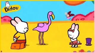 Miniature : Didou, dessine moi un flamant rose 🦩 | Didou | 70' Compilation