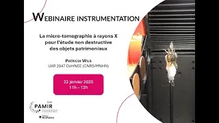Miniature : Webinaire instrumentation "La micro-tomographie à rayons X pour l’étude des objets patrimoniaux"