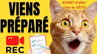Miniature : Ce que ton VÉTÉRINAIRE voudrait que tu saches... AVANT LA CONSULTATION !