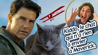 Miniature : KIDDO : L'HISTOIRE DU CHAT QUI N'AVAIT RIEN À ENVIER À MAVERICK !