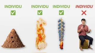 Miniature : Une nouvelle théorie ƎꓕNⱯSꓤƎꓥNƎꓤ des individus