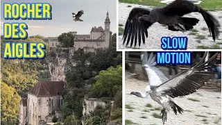 Miniature : Le rocher des aigles de Rocamadour, images au ralenti des oiseaux en mouvement, vlog slow motion 4k