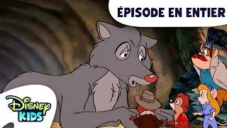 Miniature : Un zoo fou, fou, fou | Tic et Tac, les Rangers du Risque S1 E29 | Épisode complet | @DisneyKidsFR