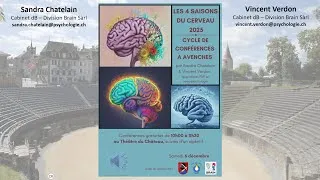 Miniature : Le TDAH chez l'adulte - Les 4 saisons du cerveau (2025) - Episode 4/4