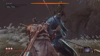 Miniature : Inner Isshin  NO HIT (Charmless & Demon bell ) NG+9