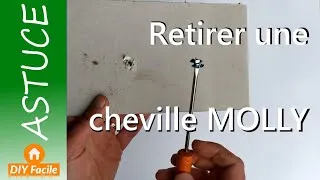 Miniature : Comment retirer une cheville MOLLY facilement