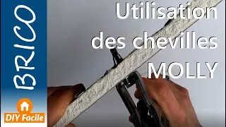 Miniature : Utilisation des chevilles MOLLY sur mur en placo