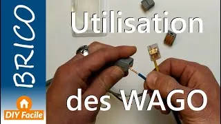Miniature : Utilisation des WAGO