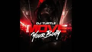 Miniature : Dj Turtle - Move Your Body