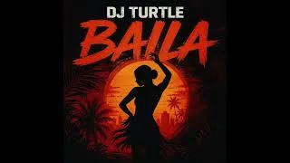 Miniature : Dj Turtle - Baila