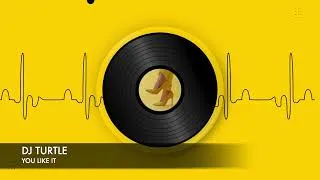 Miniature : Dj Turtle - You Like It