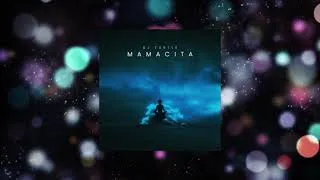 Miniature : Dj Turtle  - Mamacita