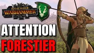Miniature : LES MEILLEURS ARCHERS DU JEU ! ATTENTION AUX ELFES SYLVAINS !