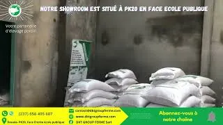 Miniature : Notre Showroom est situé à PK20 en face de l'école publique