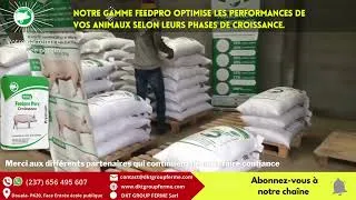 Miniature : Feedpro optimise les performances de vos animaux
