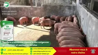 Miniature : Feedpro Croissance et ses exigences qualitatives et sanitaires strictes
