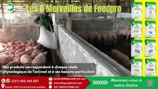 Miniature : Les 8 Merveilles de Feedpro