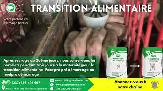 Miniature : Transition Alimentaire