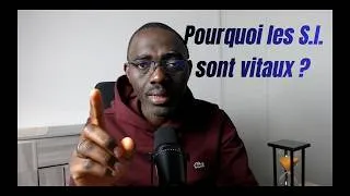 Miniature : Pourquoi les systèmes d'information sont vitaux ?