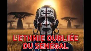 Miniature : Terres d'Afrique : Les derniers invisibles du Sénégal Oriental  documentaire HD
