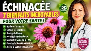 Miniature : 🌿 Échinacée : 7 Bienfaits Incroyables pour Renforcer Votre Immunité Naturellement 💪✨