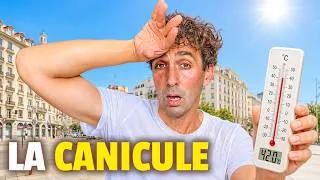 Miniature : CANICULE : le mode d'emploi (simple et pratique)