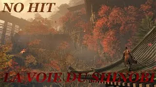 Miniature : Sekiro : La voie du Shinobi ( all mini boss + No Hit NG+7 )