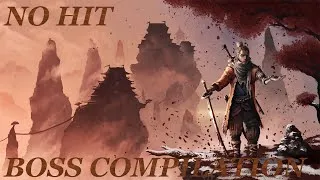 Miniature : Sekiro : Boss Compilation ( No Hit + Vision NG+7 )