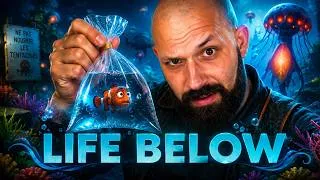 Miniature : LIFE BELOW : On reconstruit la barrière de corail sous l'océan !