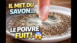 Miniature : Tu touches l’eau avec du savon… et le poivre fuit 😳 (expérience folle)🧪