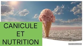 Miniature : Canicule, coup de gueule du Dr Damou 😡