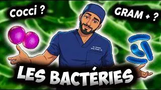 Miniature : BACTÉRIES : LE GUIDE ULTIME 🦠