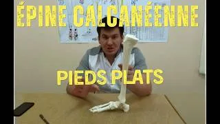 Miniature : Comment vos pieds influencent tout votre corps : épine calcanéenne et pied plat expliqués