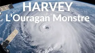 Miniature : Harvey - L`ouragan Monstre - Documentaire
