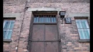 Miniature : Les expérimentations médicales à Auschwitz - Clauberg et les femmes du bloc 10 (Documentaire 2019)