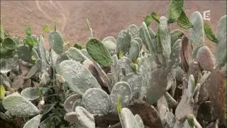 Miniature : Colorants  edulcorants  conservateurs  que cachent ils?