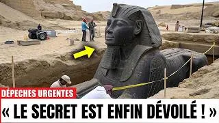 Miniature : Un sphinx secret scellé depuis 4 500 ans a été découvert : les scientifiques sont sans voix.