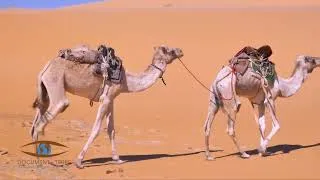 Miniature : BA Document Terre   MAURITANIE