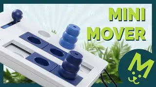Miniature : TRIXIE MINI MOVER : Le Jeu de Réflexion Parfait pour Stimuler l'Esprit de Votre Chien !
