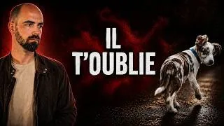Miniature : Tu apprends à ton chiot à t’ignorer (suivi naturel)