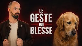 Miniature : 5 choses qu’on fait à nos chiens et qui les mettent mal à l’aise (sans qu’on s’en rende compte)