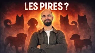 Miniature : Ces 6 races de chiens sont un cauchemar à éduquer (même pour un pro)