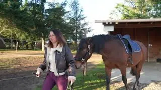 Miniature : La beauté de la relation 💖🐴🧍‍♀️