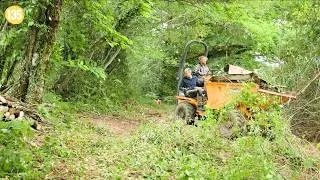 Miniature : Clearing the Way to a Forgotten Watercress Bed + Zendure Solar Upgrade | Renovation in France #135