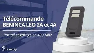 Miniature : PROGRAMMER TÉLÉCOMMANDE BENINCA LEO 2A / LEO 4A