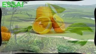 Miniature : ESSAI VRAIX