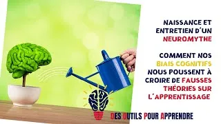 Miniature : Cerveau humain et naissance d'un neuromythe