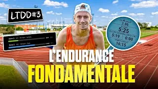 Miniature : L'endurance fondamentale qu'est ce que c'est ? (EF)