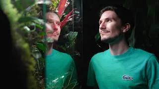 Miniature : J'AI CRÉÉ LE TERRARIUM TROPICAL DE MES RÊVES ! 💎🌿 (FORÊT D'AZUR - PARTIE 1)
